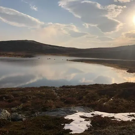 ホテル Torsetlia Dagali