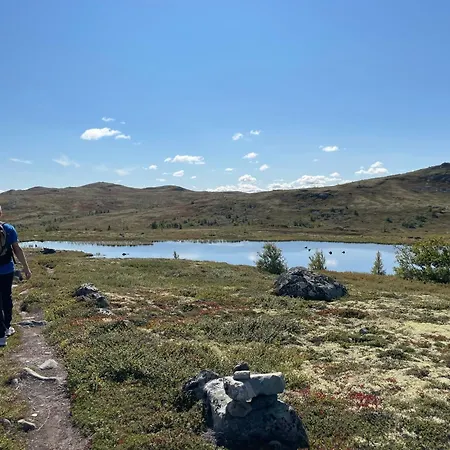 ホテル Torsetlia Dagali