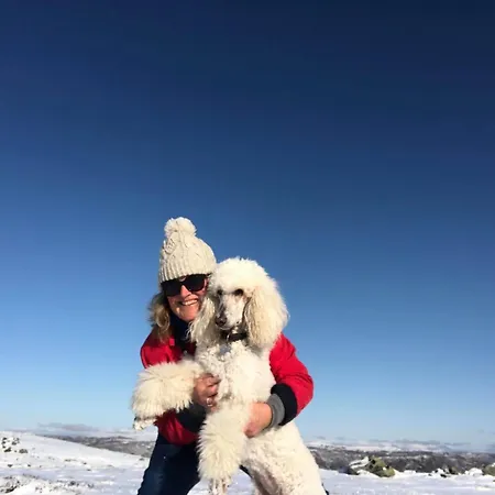 Hotel Torsetlia Dagali