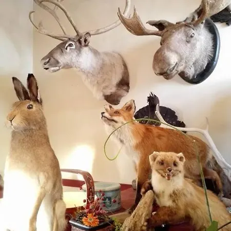 ホテル Torsetlia *